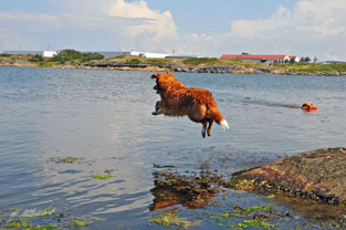 Wunja July 2009